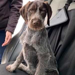 Meet your Posher, Jen